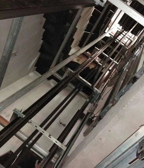 枣庄无障碍升降机厂家 为什么金力机械是您的高品质选择？